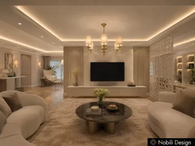 Concept de design living stilul new clasic 1