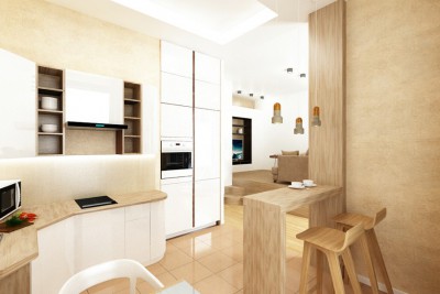 Design interior bucatarie - vila - moderna - brasov.