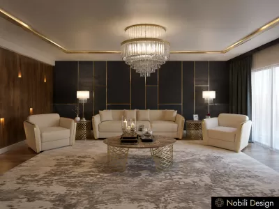 Concept de design interior casa cu mobilier Cantori  Living 2