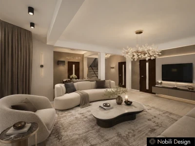 Concept de design interior casa moderna-Living