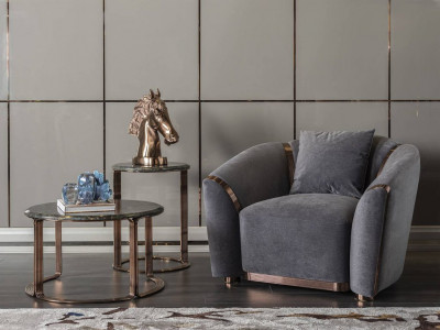 Fotoliu living etra pret 3.300 euro